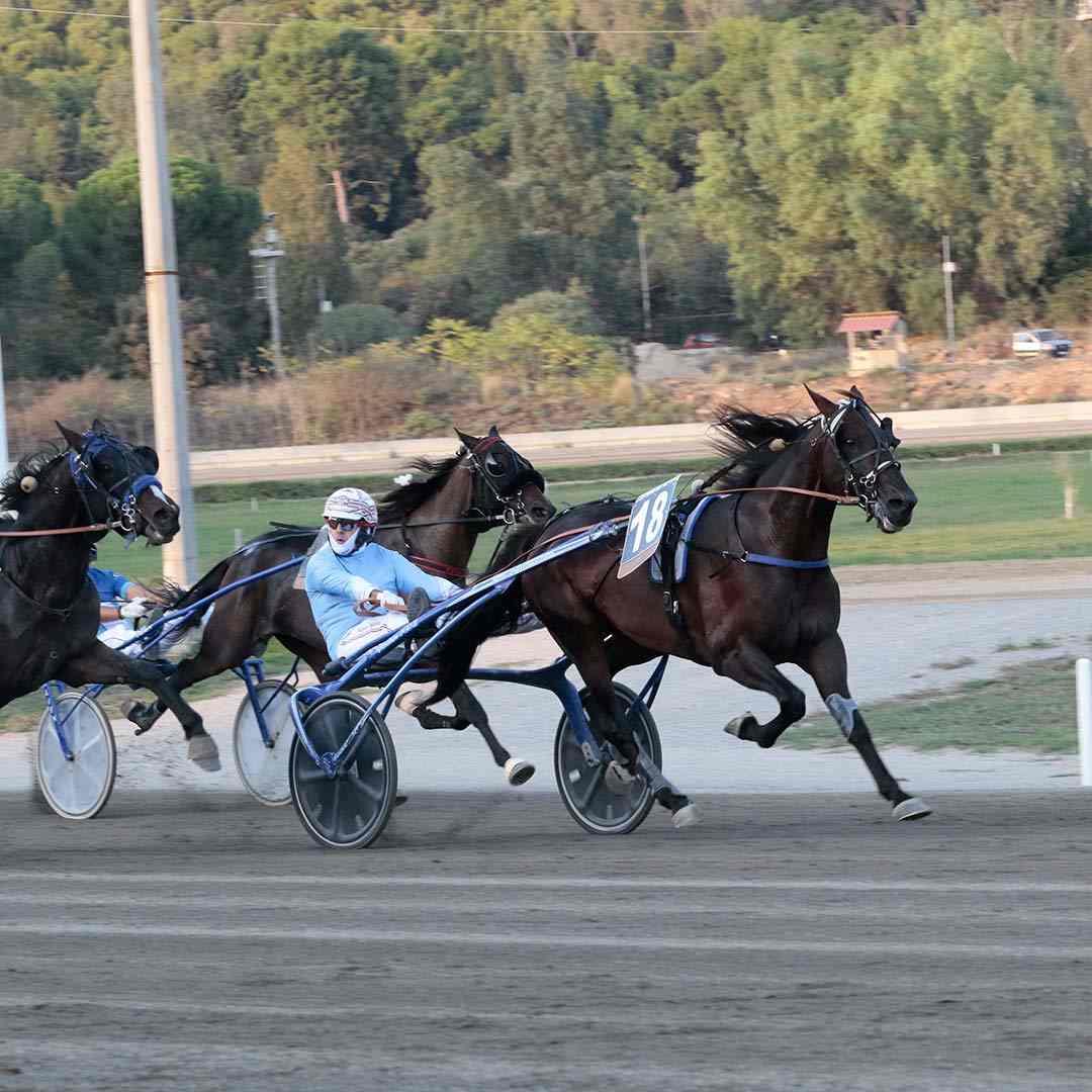 VIOLETTO JET- ESPOSITO FI-compressed