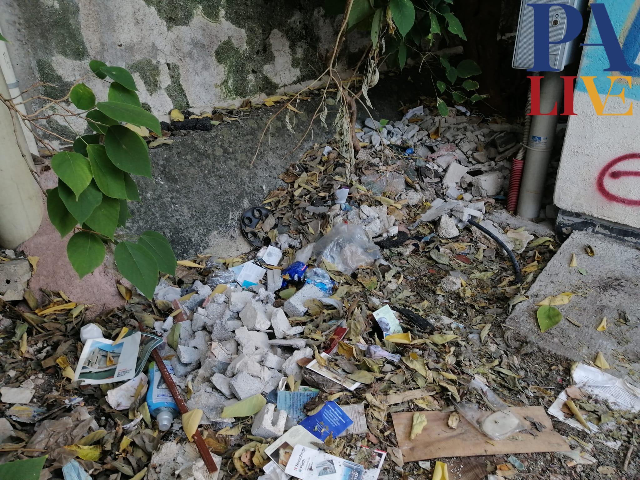 WhatsApp Image 2023-11-21 at 14.16.15 (4)