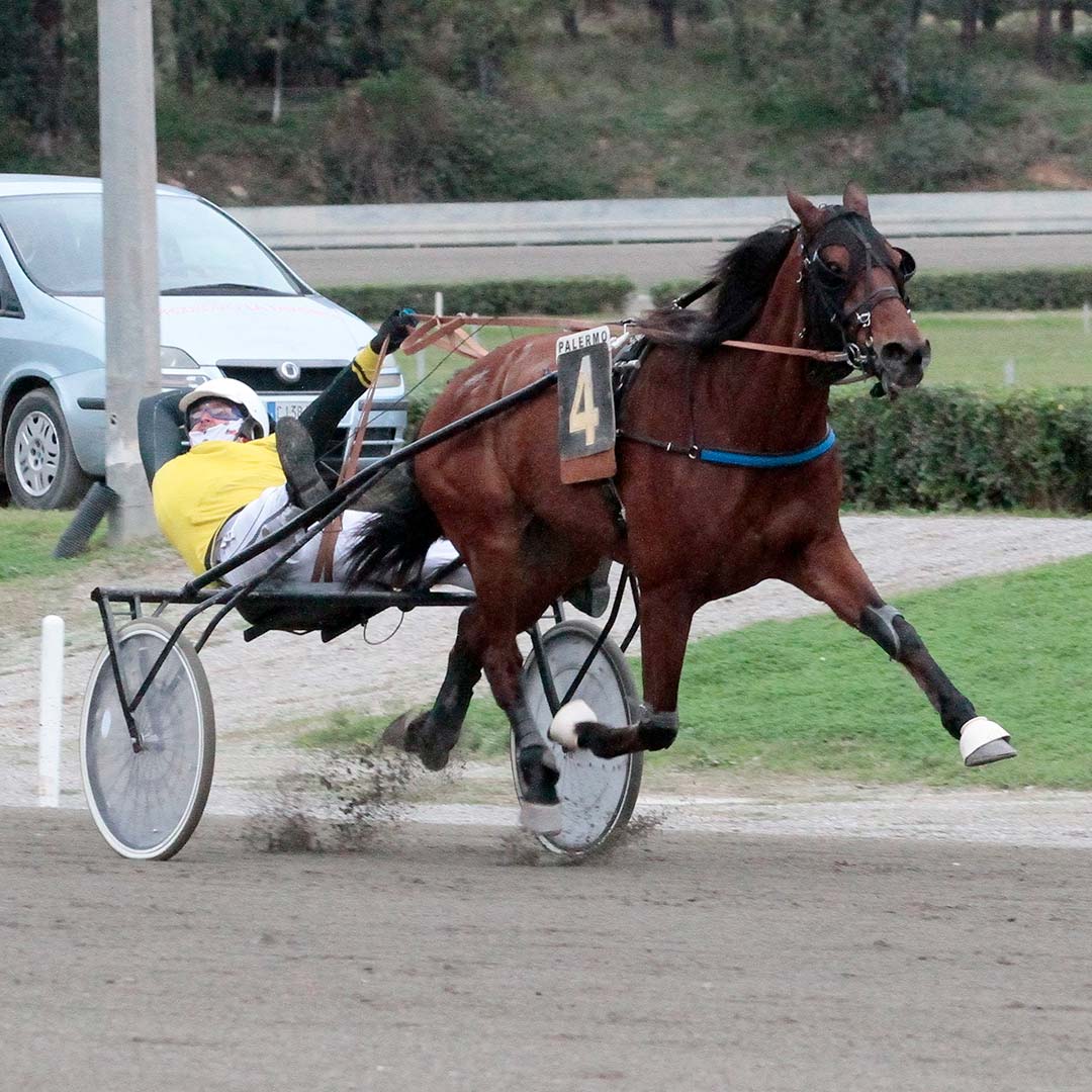 Uliveto Bargal, driver Michele Lazzara - foto Maria Luisa Ferraro
