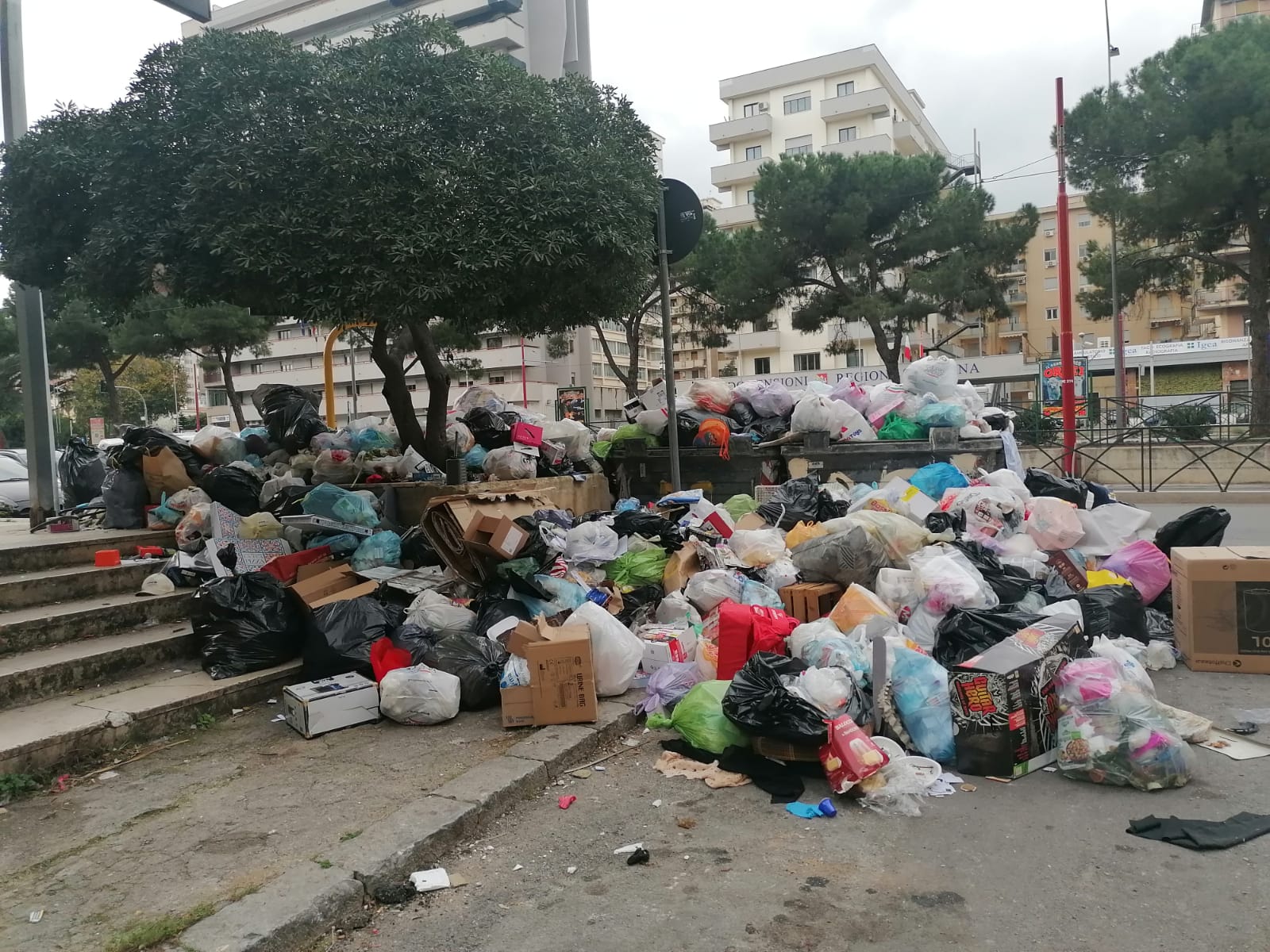 890C498F-3841-411B-AC29-A9B3CA64E9D6