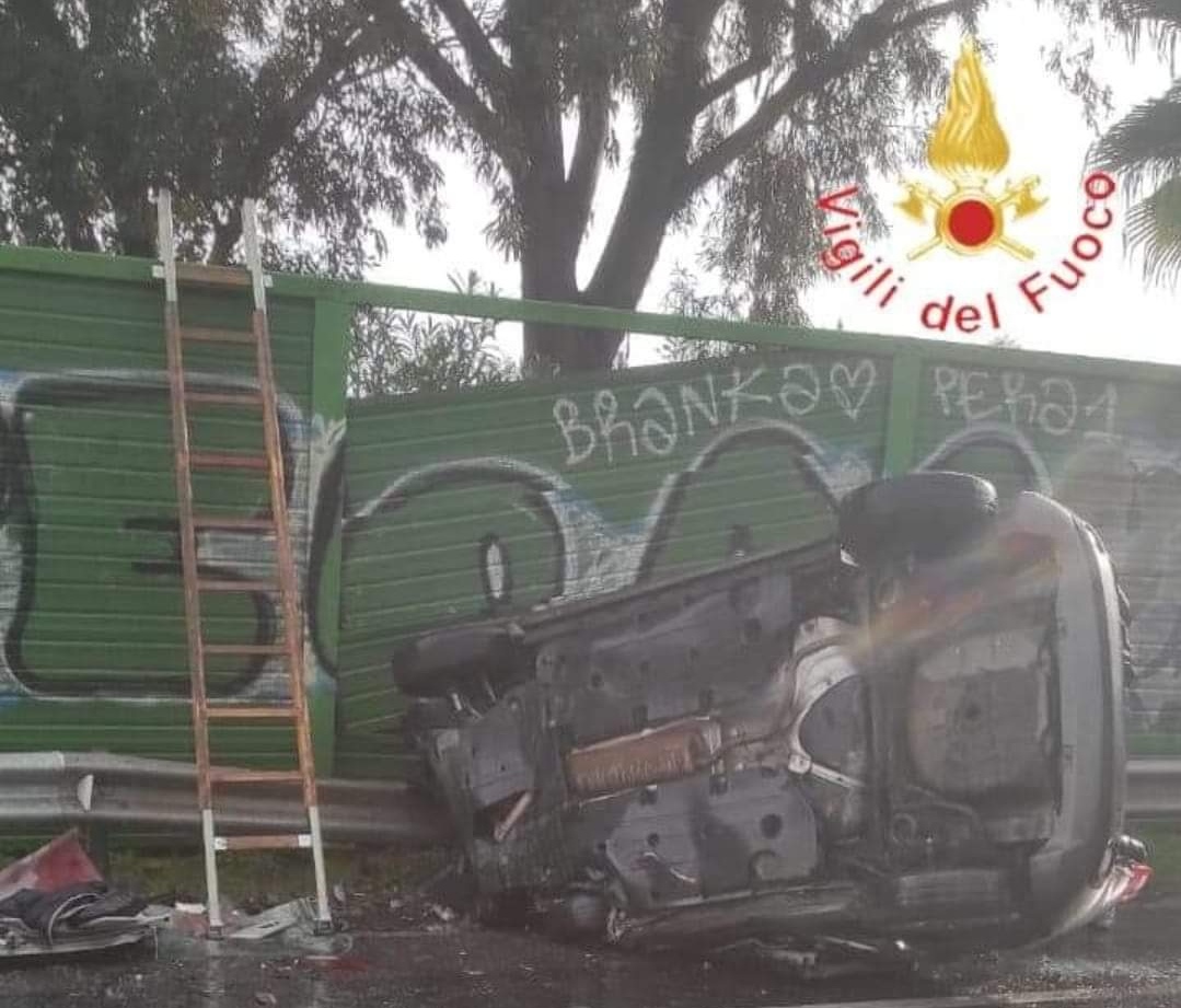 FB_IMG_1704563838128_edit_14701995219630