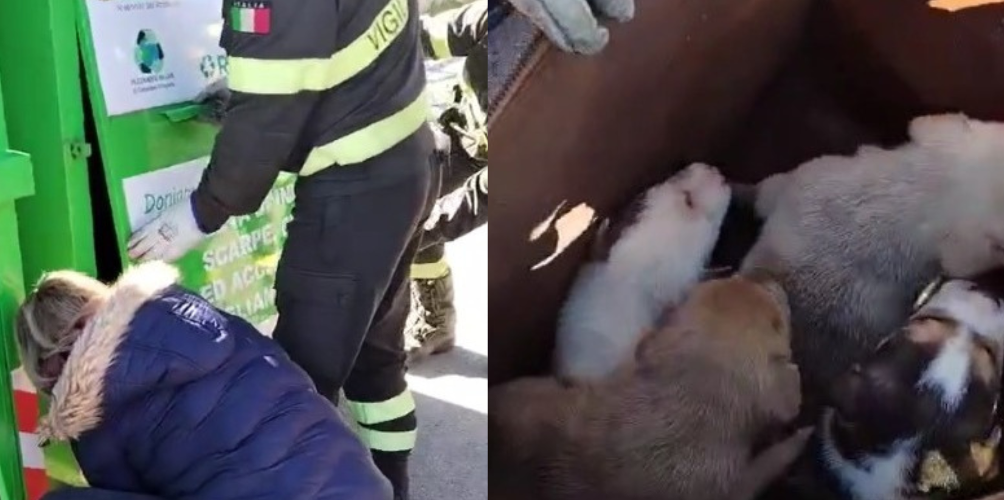 Progetto senza titolo