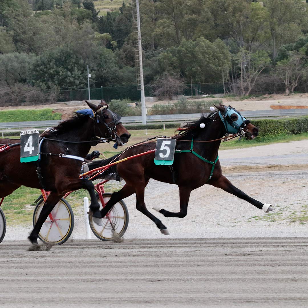 09D06E14-EC77-4644-B132-42638EBA80C2