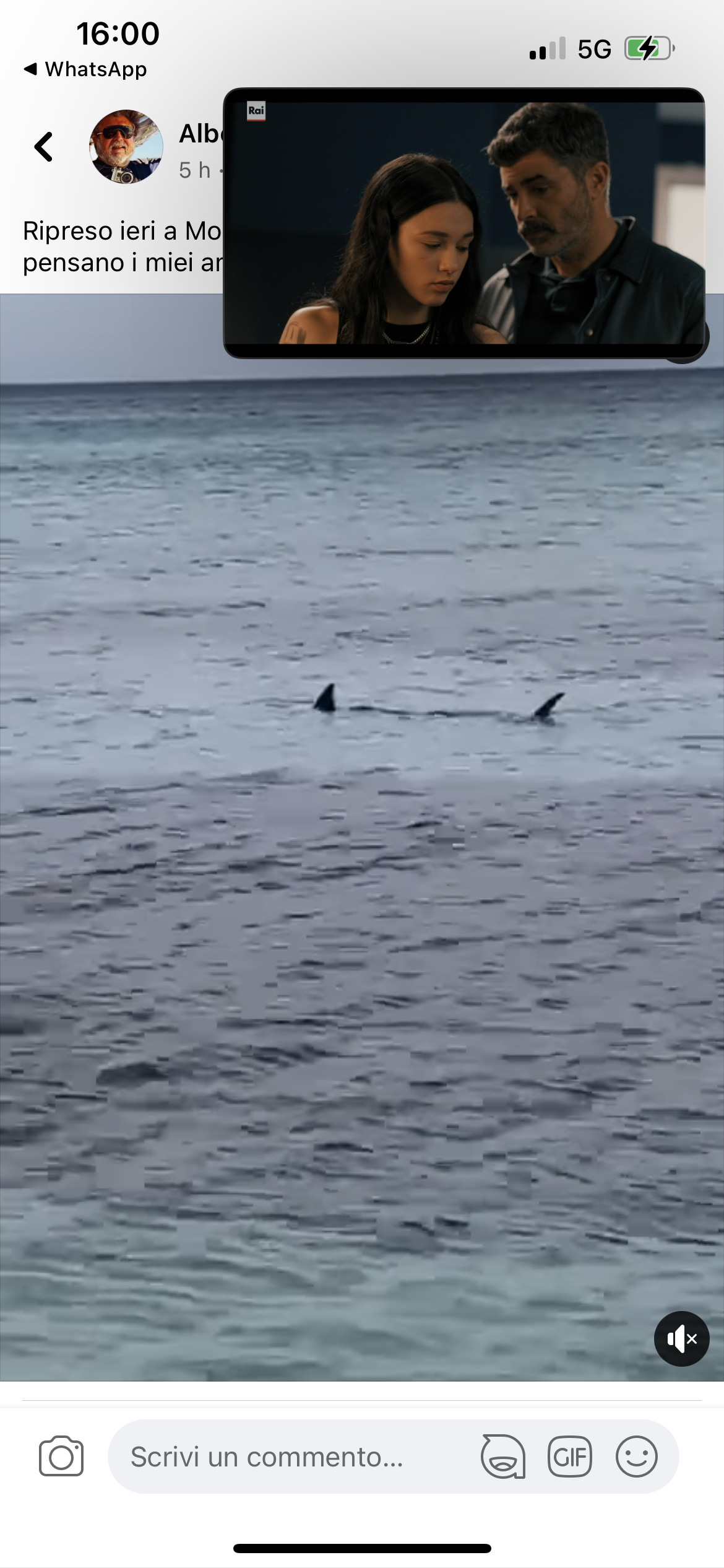 89A36820-D4EA-406D-9A30-B70BF2CBA640