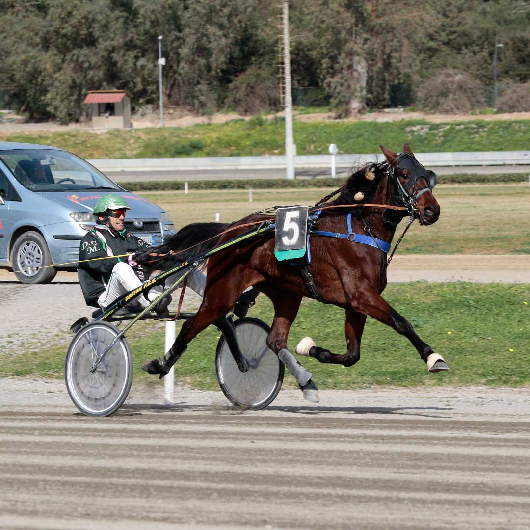 BBCC172D-51AF-4545-9CE6-2698E38EC354