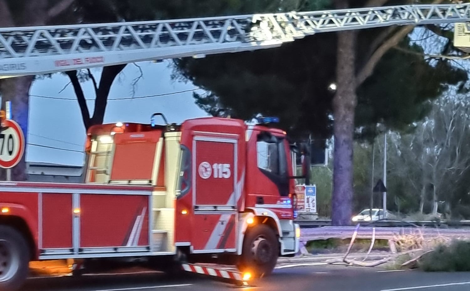 Viale regione siciliana_rami