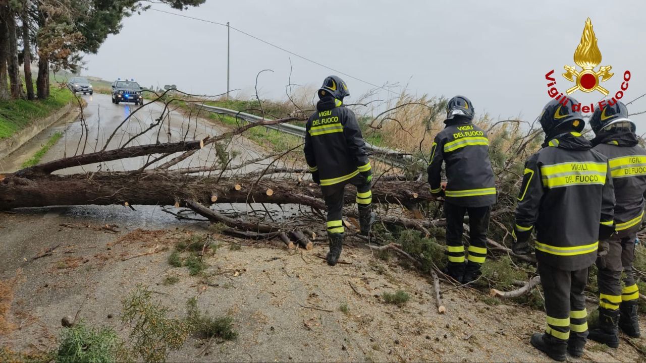 WhatsApp Image 2024-02-10 at 13.53.53