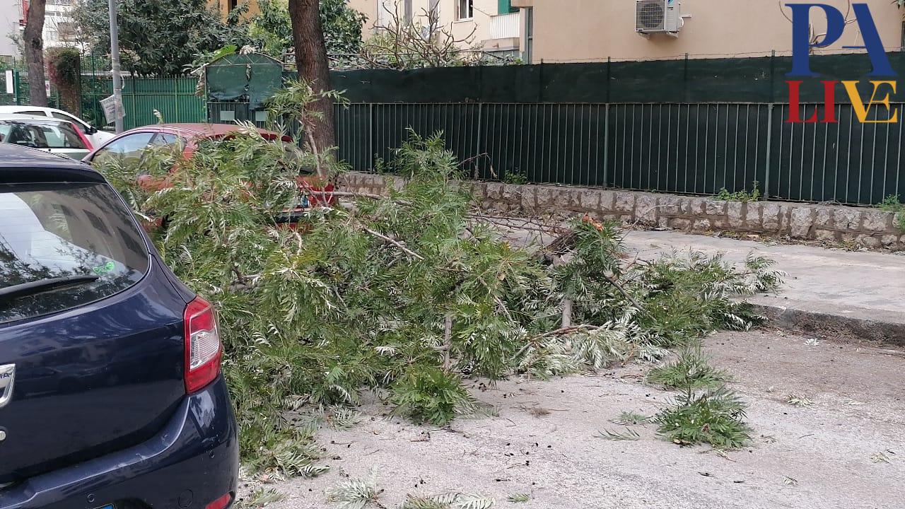 WhatsApp Image 2024-02-23 at 12.23.18