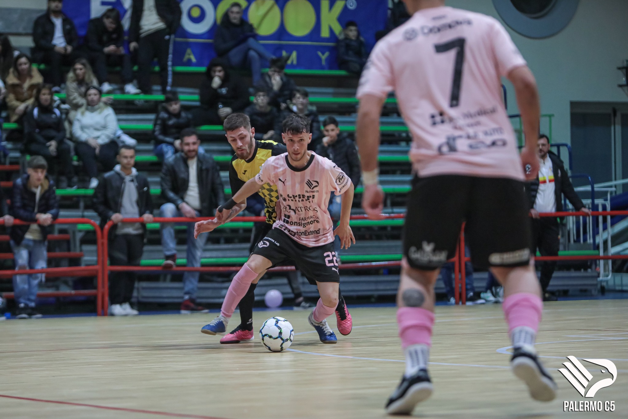 F7091E52-83DB-494A-9A4E-930C4FA60BA5