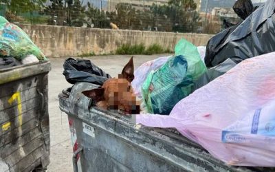 2924AC42-AE35-48E9-AC20-ABC7830B9263