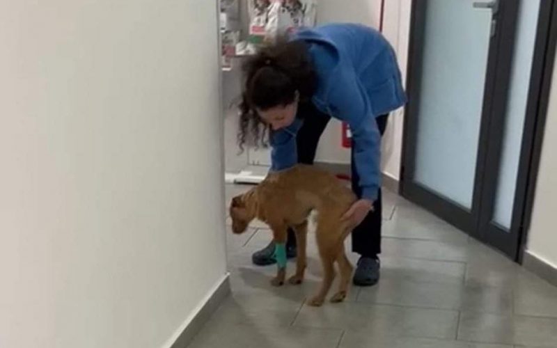 96F868BE-068B-4877-AE02-034E245A0DBF