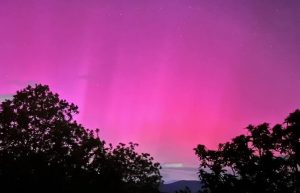 442415197_836224901868207_6600348309338894461_n (1)