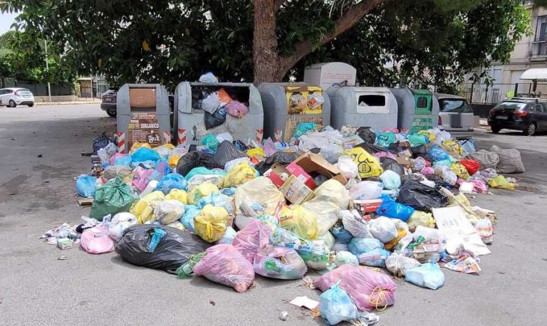 raccolta differenziata