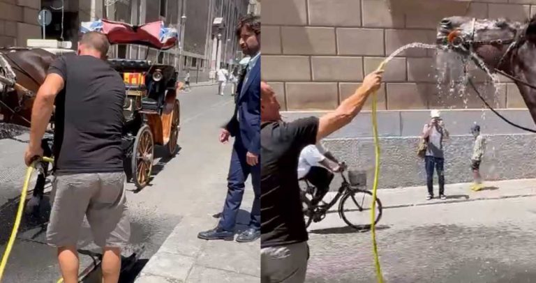 docciatura cavalli-compressed