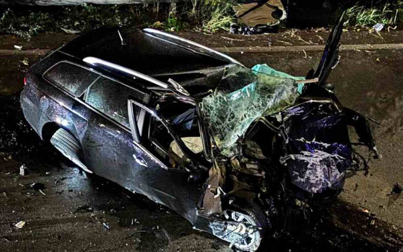 IMG-20241122-WA0012-compressed