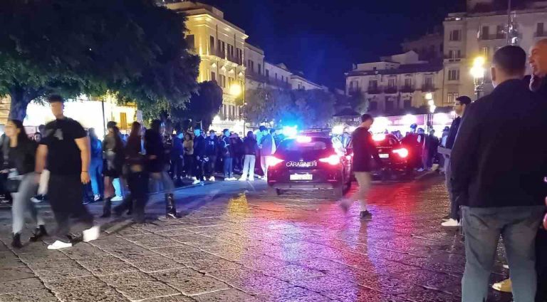 rissa sherbet-compressed