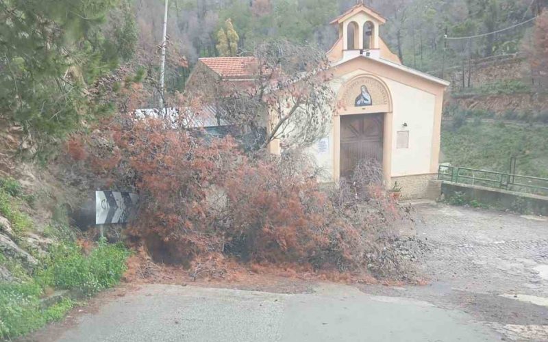 WhatsApp Image 2025-01-17 at 14-compressed (2)