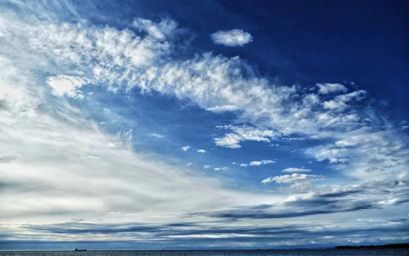 nature-8011840_1280-compressed