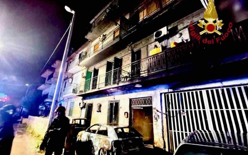 WhatsApp Image 2025-02-08 at 11-compressed (3)