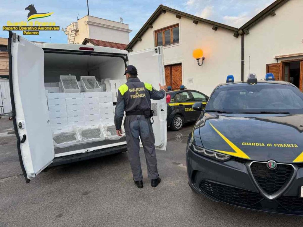 02042025_082816_carico di neonata-compressed