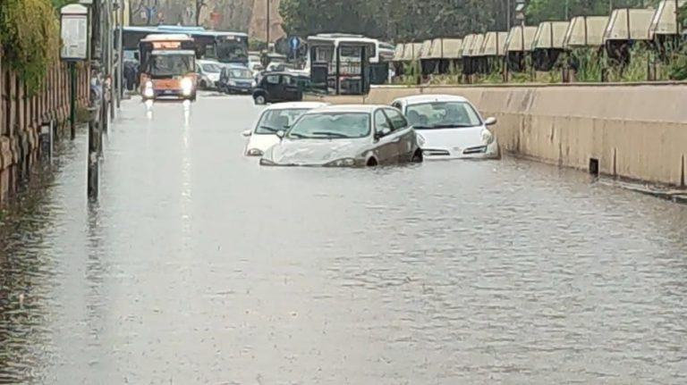 WhatsApp Image 2025-04-28 at 15.26.08