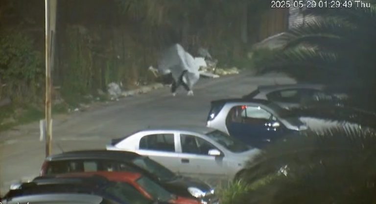 Monreale fantasma rifiuti