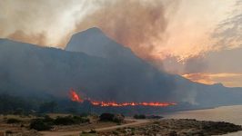 516377423_1175171664652832_5844916118015578986_n (1)