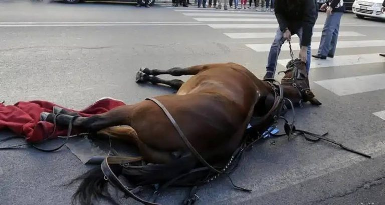 WhatsApp Image 2025-07-01 at 22-compressed