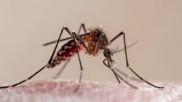 205602756-0135b039-19e8-42cf-ac69-e5ce4e49102e