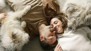 Longevità nei cani - fonte pexels - palermolive.it