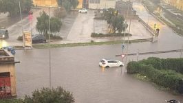 WhatsApp Image 2025-10-31 at 17.24.56