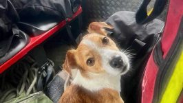 IMG-20251107-WA0041-compressed