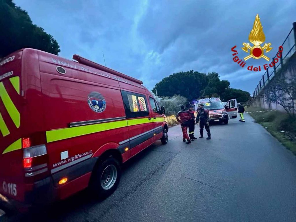 WhatsApp Image 2025-11-09 at 18.14.55