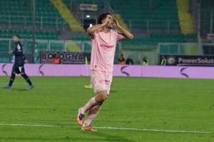 PALSAMP0084 Ranocchia