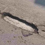 Manutenzione strade a Palermo, via libera a interventi in VII Circoscrizione: “Lavori entro la primavera”