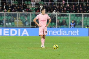 PALSPE0101 Ranocchia