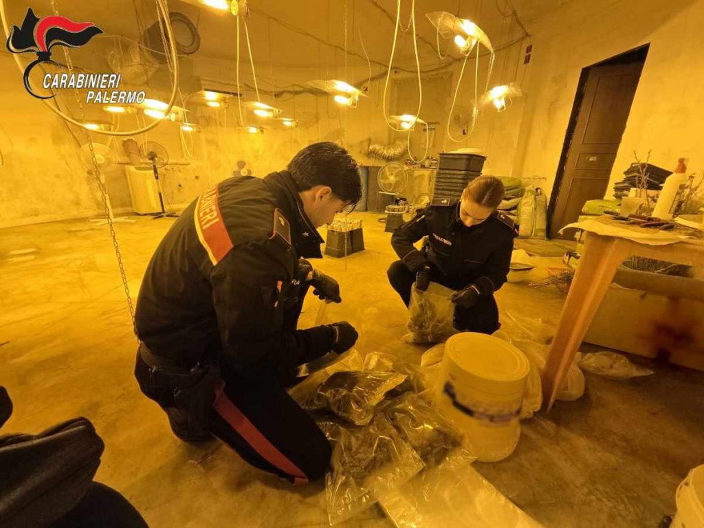 Piantagione Monreale (1)