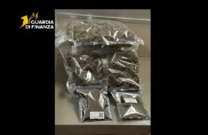 Screenshot_20260130_110042