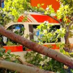 Paura al Policlinico, albero crolla su ambulanza e scooter
