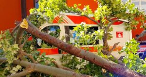 633131825_1575670237412740_2494879811862709680_n (1)