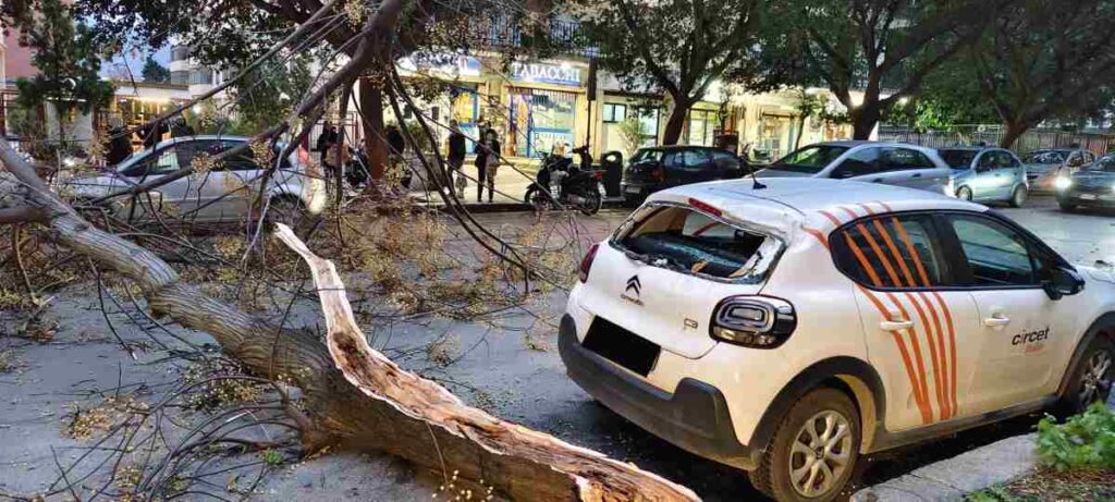 WhatsApp Image 2026-02-13 at 12.10.37