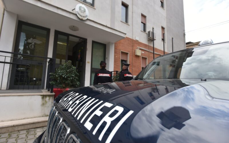 WhatsApp Image 2026-02-16 at 14.46.39 (1)