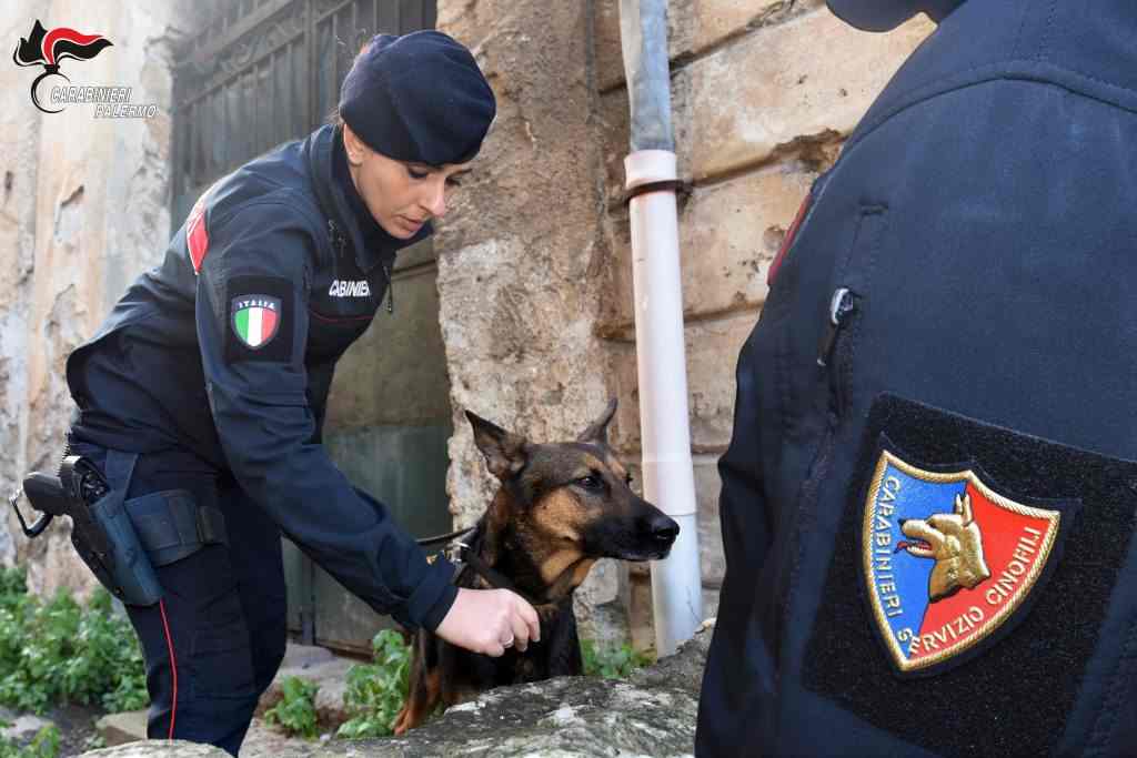 carabinieri cinofili