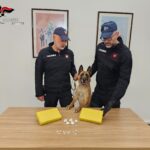 Maxi sequestro di cocaina dal valore di 300mila euro a Palermo, un arresto