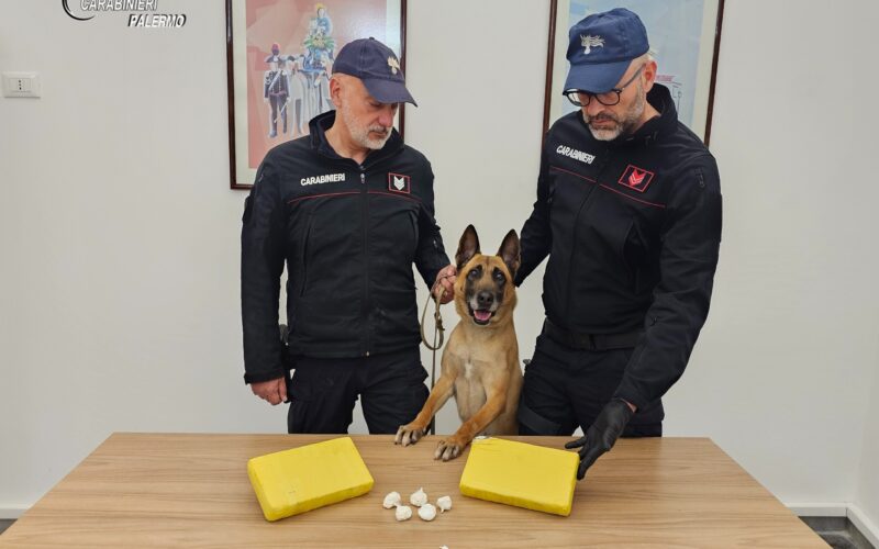 La droga sequestra dai Carabineri