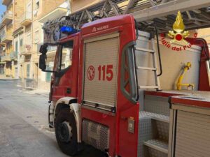 WhatsApp Image 2026-03-01 at 17.25.37