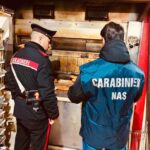 Palermo, controlli del Nas in vista di Pasqua: sequestrato un quintale di alimenti in una pasticceria del centro