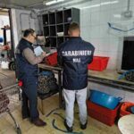 “Potenzialmente nocivi per la salute”, sequestrati oltre 4 quintali di prodotti ittici a Palermo: multe per 11mila euro