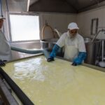 Sagra del Formaggio, boom di presenze a Santo Stefano Quisquina: tradizione, turismo e sviluppo per i Monti Sicani