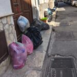Rifiuti e topi a Partanna Mondello, Cusimano denuncia: “Necessario intervento immediato”